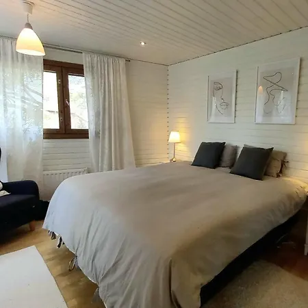 Scandi House 别墅 列维