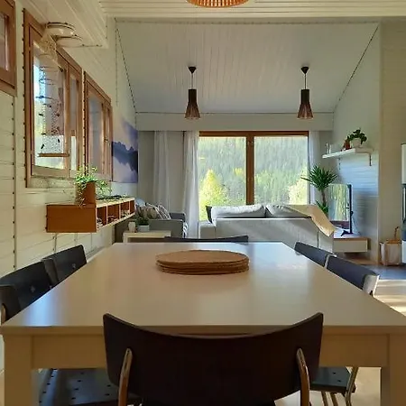 Scandi House 别墅 列维