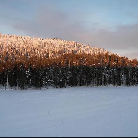 Scandi House 别墅 *