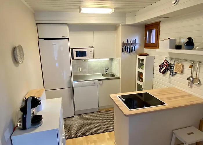 Scandi House * ليفي